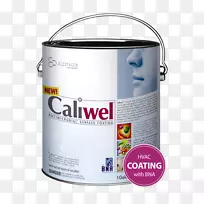 油漆涂料室内设计服务于家得宝模具彩色5加仑水桶。