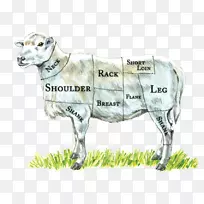 绵羊、乳牛、羔羊和羊肉屠夫接线图-健康食品图表报价