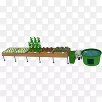 DIY水产学：指导种植优质食品的决定性方法，无论何时何地，你想要的水培园艺：一步