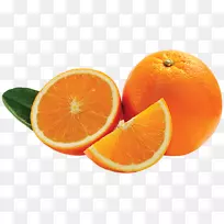 血橙、橘子、苦橙、巴伦西亚橙、柚子