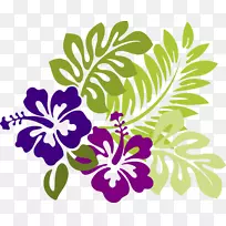 鞋类植物剪贴画开放部分夏威夷木槿-木槿花画