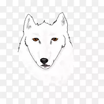 鼻子素描熊插图胡须-熊