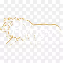 桌面壁纸卡通商品h&m特写露营帐篷卡通