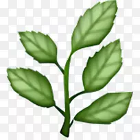 移动式网络图形植物图像剪辑艺术.美学叶子