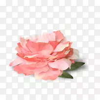 png图片花卉花园玫瑰图像剪辑艺术花