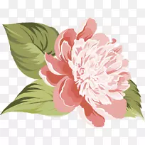 花卉设计花卉png图片剪辑艺术文件格式.花