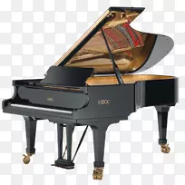 法自利大钢琴，卡瓦伊乐器，无声钢琴-钢琴表演