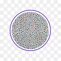 石原慎太郎色盲试验石原试验目视色觉最难的色盲试验