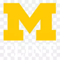 密歇根医科大学狼獾足球密歇根狼獾男子篮球密歇根州立大学m项目标志