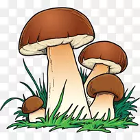 剪贴画图形蘑菇设计图像-蘑菇