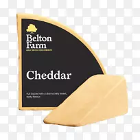 产品设计品牌短信切达奶酪食品