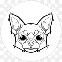 犬种法国斗牛犬吉娃娃猎犬-吉娃娃