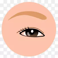 眼睑胶上睑下垂美容外科学-眼睛