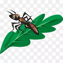 剪贴画蚂蚁昆虫png图片开放部分-昆虫
