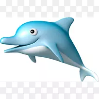 旋转海豚普通宽吻海豚短喙普通海豚批发条纹海豚