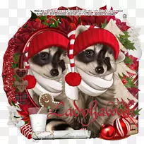 犬种小狗爱圣诞饰品-小狗
