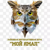 OWL图形免版税图像插图OWL