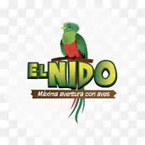 El Nido徽标Macaw鸟品牌-Nido