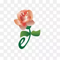 花园玫瑰产品服务-花瓣-复制和粘贴玫瑰