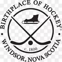 温莎标志冰球在加拿大温莎曲棍球遗产博物馆(开放6月1日至10月)-小丑学校新斯科舍