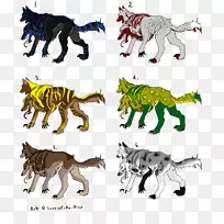 虎狮猫科动物图-卓尔爱好者