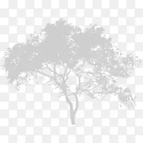 图免版税插画图像嫩枝-白树剪影