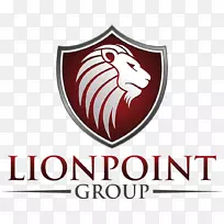 Lionpoint集团有限责任公司管理公司业务私人股本技术投资