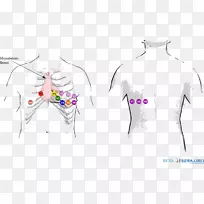 心电图12导联心电图：解释梗死窦性心律的技巧-心电图导联