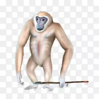猿猴的人类长臂猿星球-长臂猿