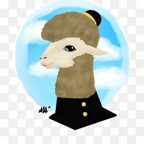 羊山羊骆驼插图毛茸茸的羊驼