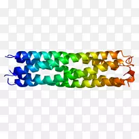 软骨寡聚基质蛋白细胞外基质胶原-动物细胞生长