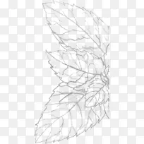 素描图案线艺术点角摩洛哥香料和草药