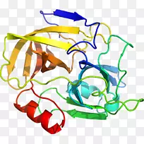 腐生葡萄球菌夹艺术病原体插图有机体-妊娠蓖麻油