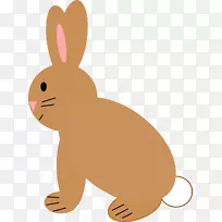家养兔夹艺术虫兔棕色兔耳