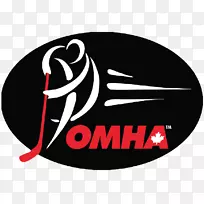 安大略省小曲棍球协会科堡美洲狮冰球组织-银色曲棍球棒标志