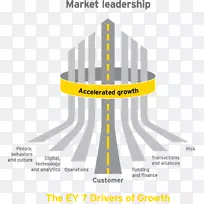 安永青年企业家年度最佳商业服务公司-战略增长图