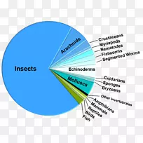 脊椎动物派图昆虫两栖类爬行动物能量流图生物群落