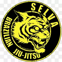 巴西Ju-Jitsu jujutsu Selva巴西Ju Jitsu和混合武术-青年MMA