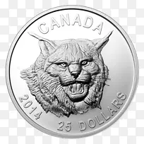 金币加拿大林克斯银矿地形-加拿大山猫