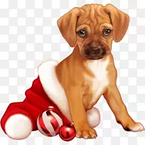 圣诞节剪贴艺术图片新年狗-圣诞小狗
