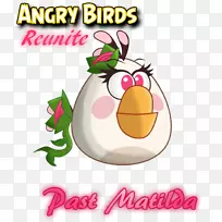 愤怒的小鸟走！“愤怒的小鸟”史诗剪辑艺术“愤怒的小鸟”2-“愤怒的小鸟”玛蒂尔达