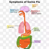 甲型猪流感病毒亚型H1N1猪症状消化系统疾病