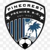 皮涅斯特顶级足球俱乐部足球超级联赛体育协会-迈阿密夜店