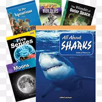 鲨鱼水鱼广告海洋生物导读图书馆书房