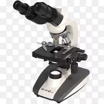 光学显微镜立体显微镜目镜消色差透镜透过显微镜观察