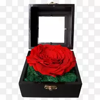 花园玫瑰花店雅加达托科邦加在线雅加达红花花束-永远21个宣传品
