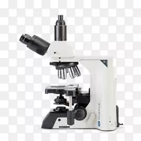 Euromex dx.1153-pli，trino显微镜，40x-1000 x光学欧洲显微镜dx.1153-apli，trino，40x-1000 x，flarex euromex显微镜dx.1153-plfi，位相，trino，无穷大，40x-1000 x-微科学显微镜