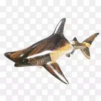 大白鲨黑头鲨