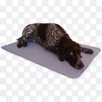 动物冰凉凝胶垫深蓝色尼龙犬繁殖床-原始磅犬