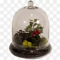 圣诞节装饰钟加拿大花圣诞日-苔藓水族馆
